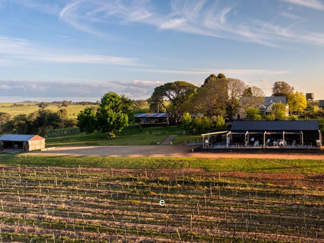 Opera in the Vines