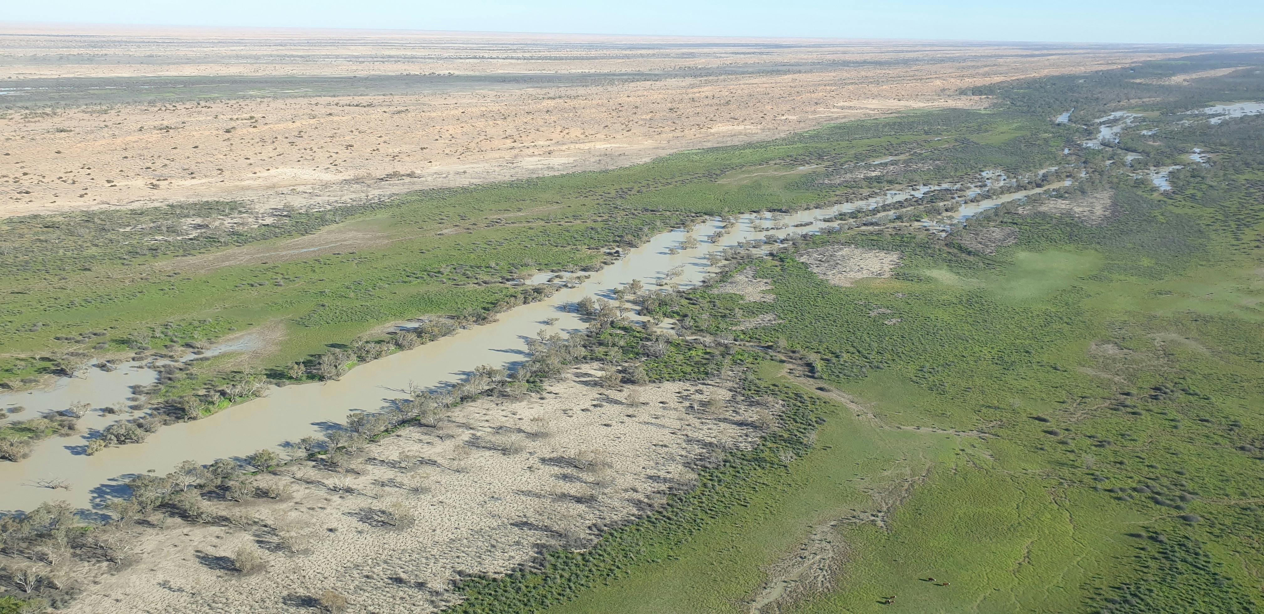 Eyre Creek