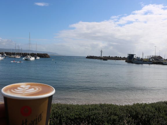 Levendi Wollongong Harbour