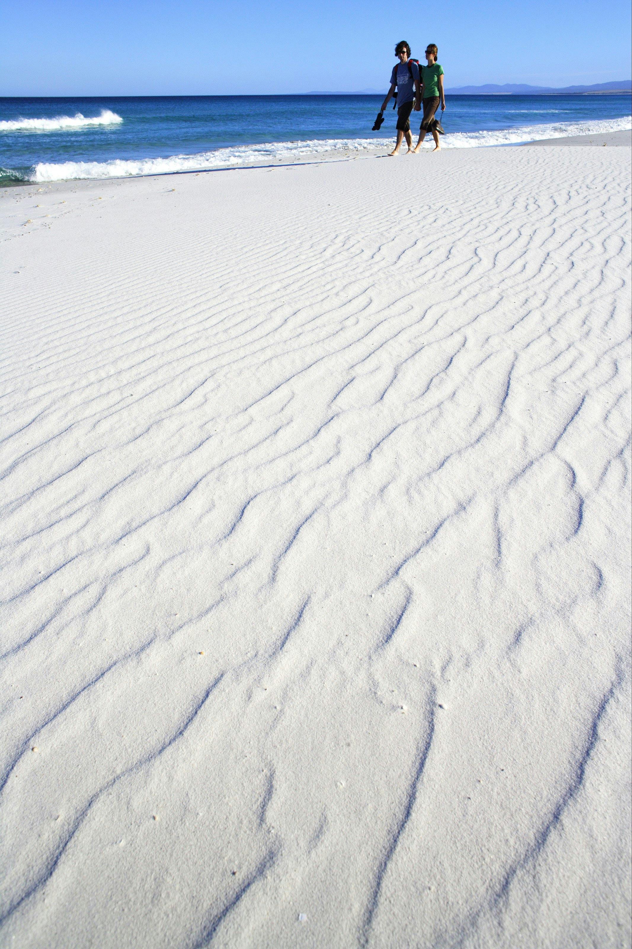 Bay of Fires Camping