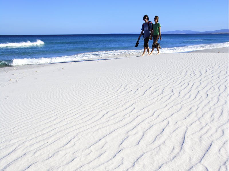 Bay of Fires Camping