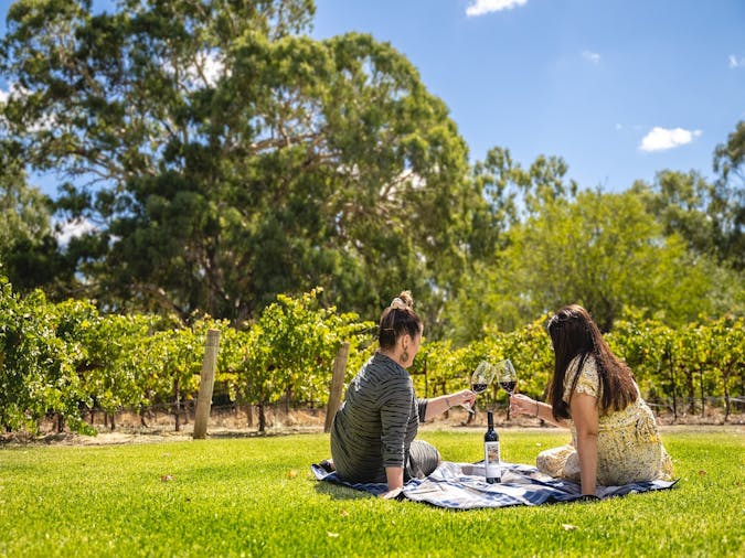 Reillys Wines Cellar Door