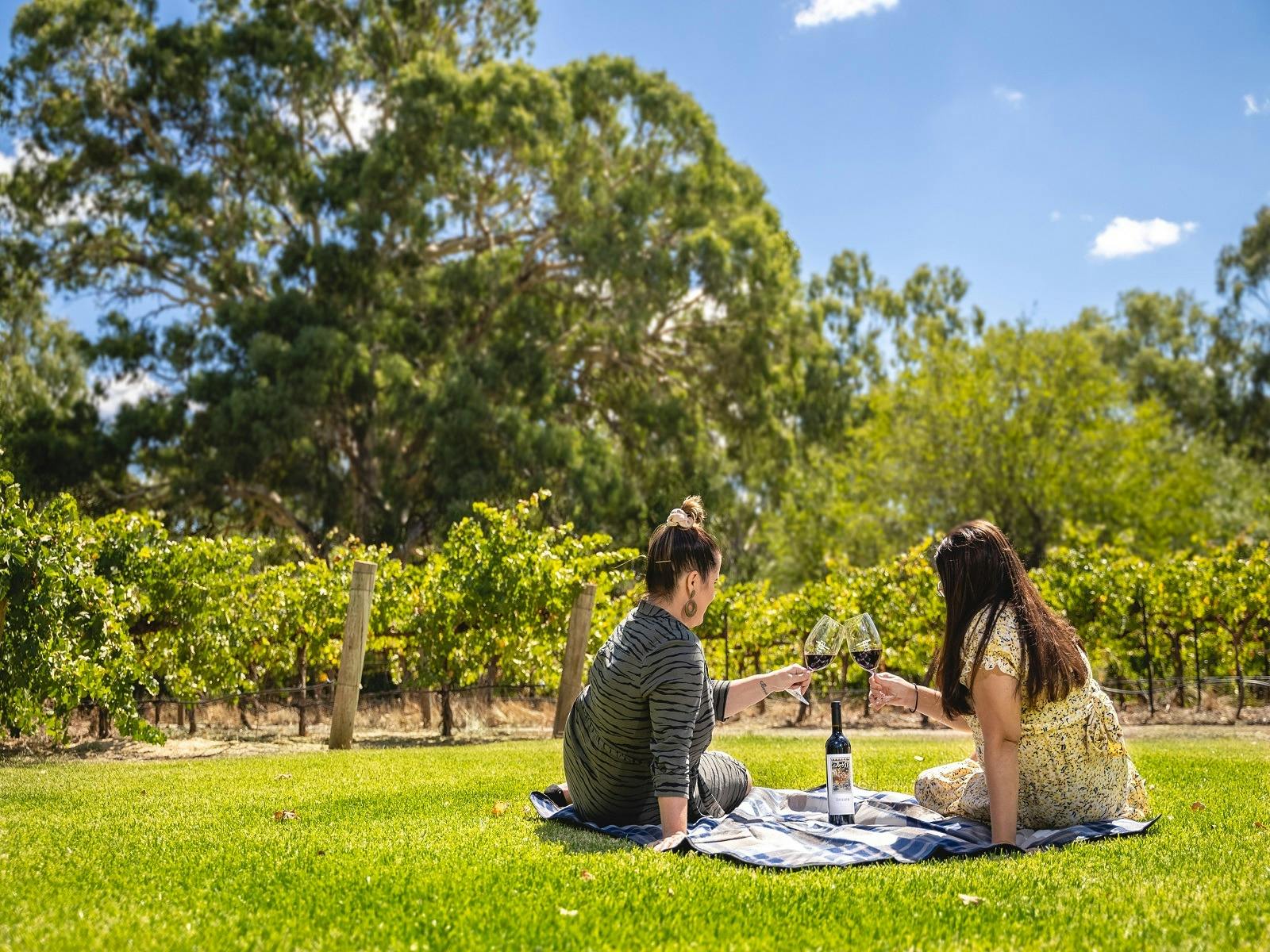 Reillys Wines Garden and Vineyard