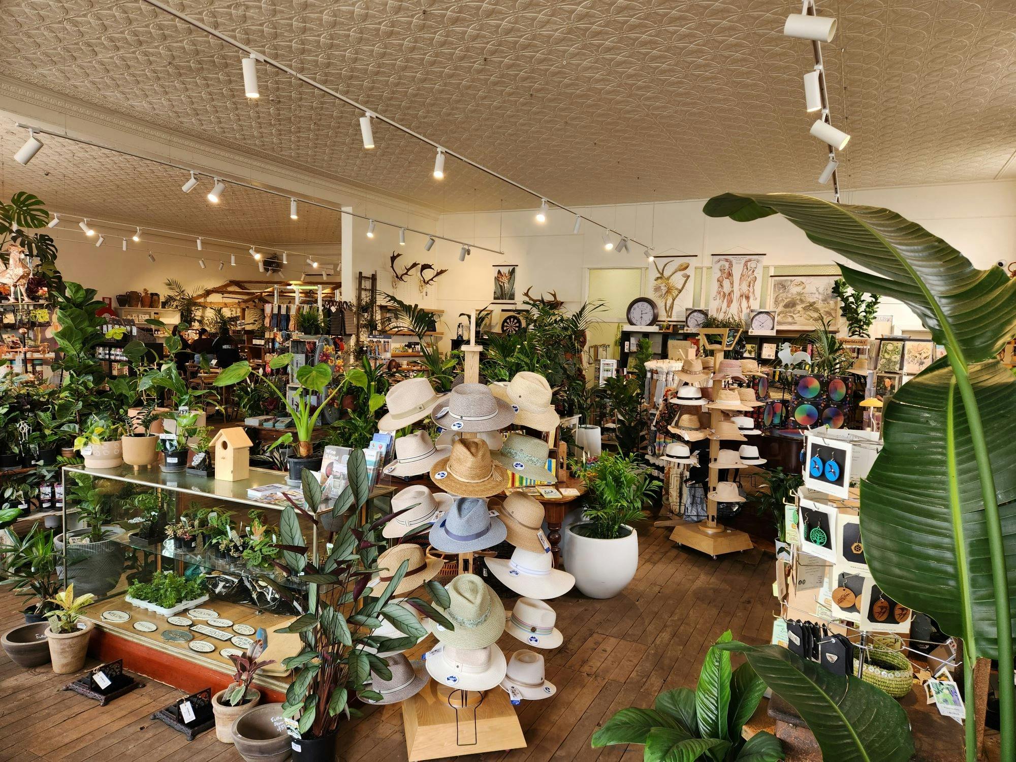 all the goods onsale