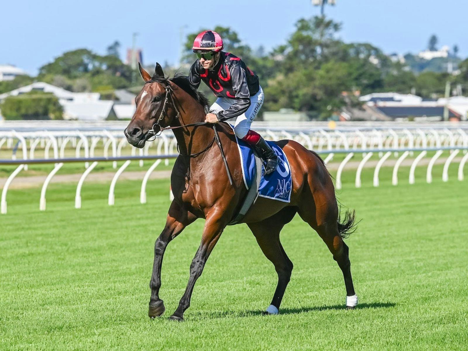 Racing at Newcastle Racecourse
