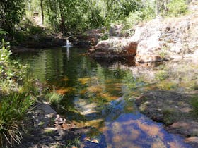 Walker Creek, Site 8