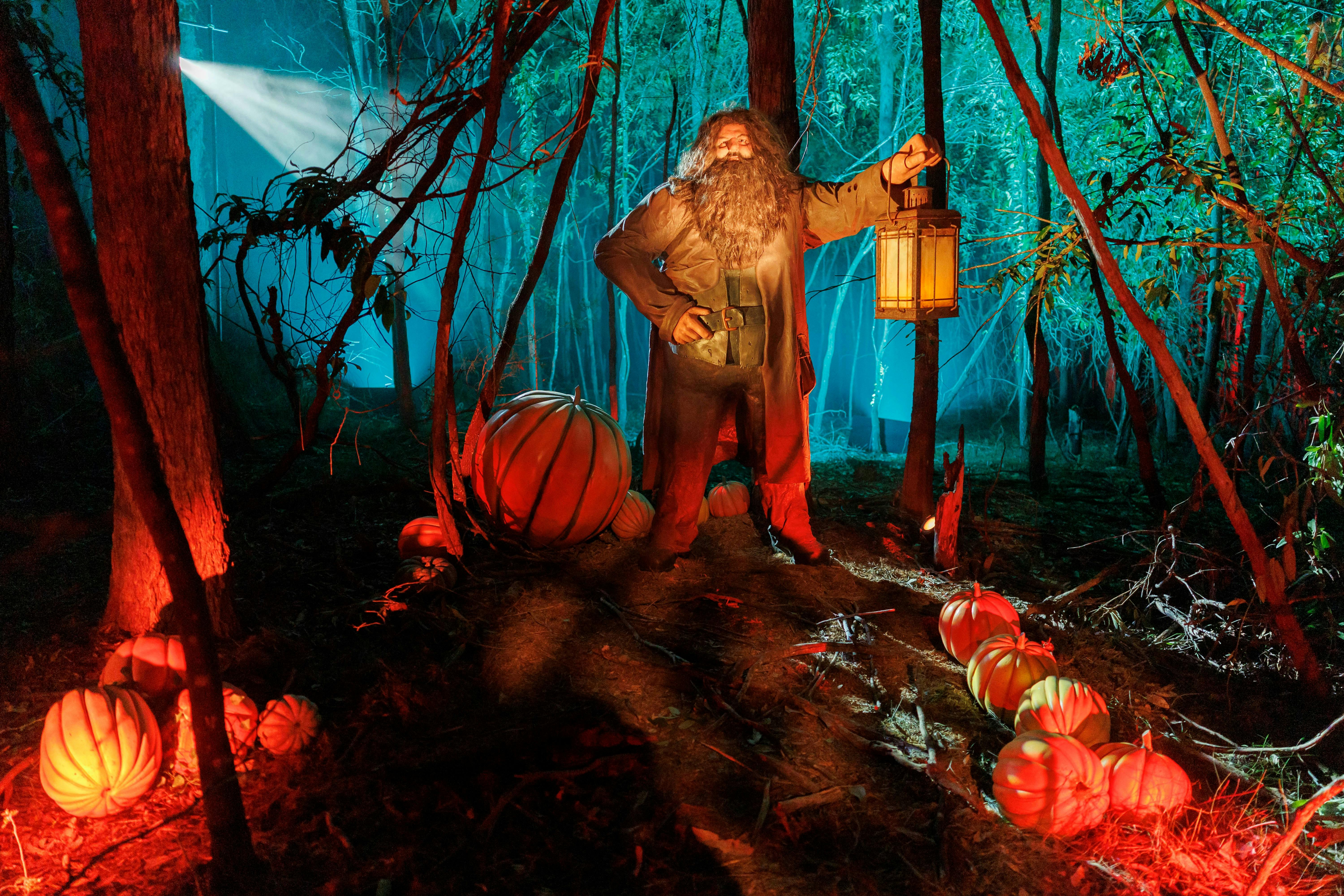 Harry Potter: A Forbidden Forest Experience