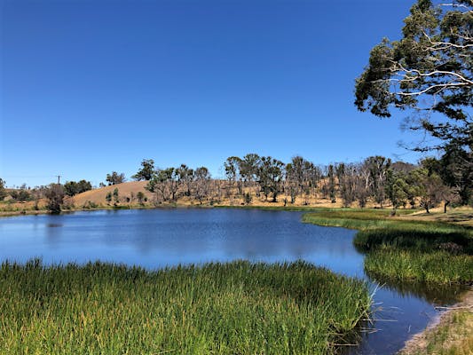 Lobethal Bushland Park - Lobethal, Attraction | South Australia