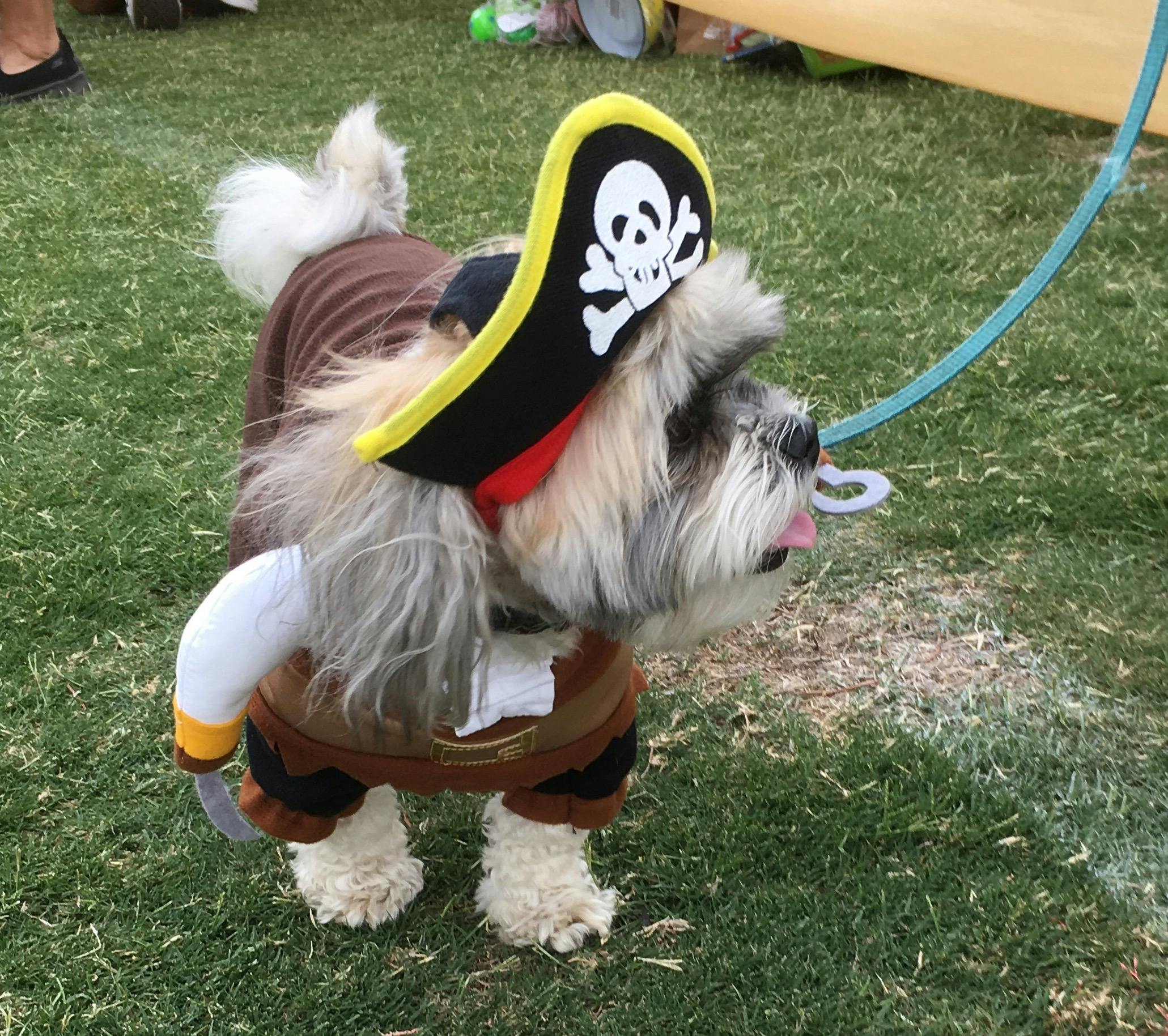 Fancy dress competitor