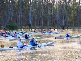 Massive Murray Paddle - Incorporating the Murray Marathon Cover Image