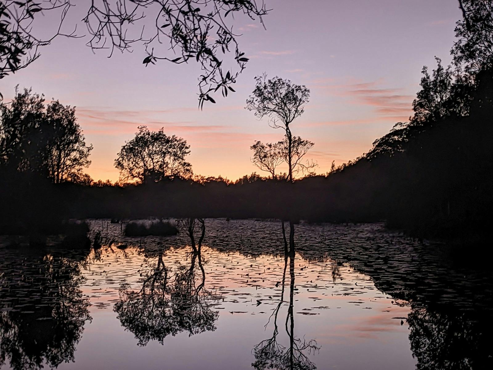 John Bennett and John Laidler: Yurruun.ga wetlands – an album