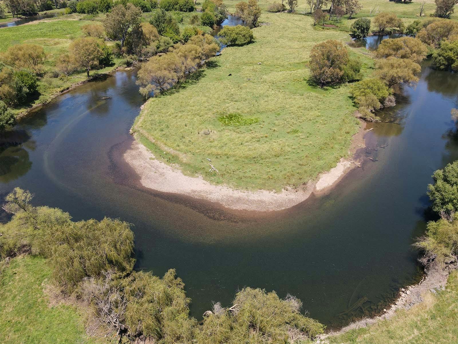 the mighty tumut river flowing in all its glory. clear and full of brown and rainbow trout