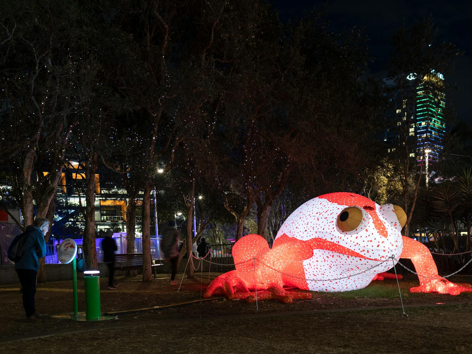 Image for Daly Bay Illuminate