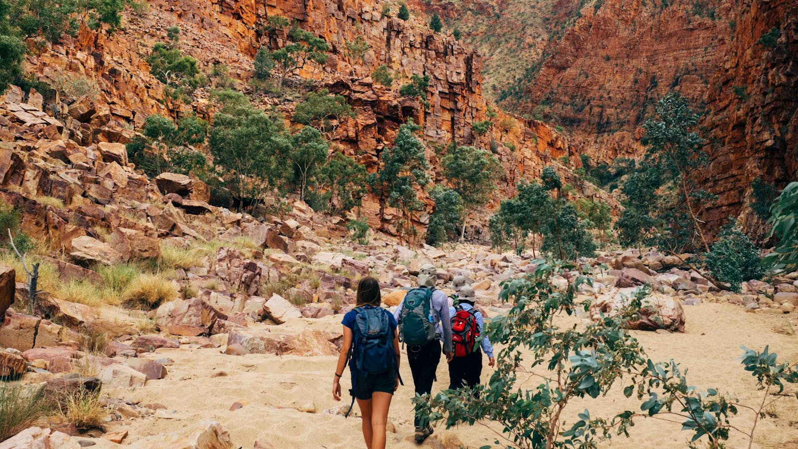 Trek Larapinta