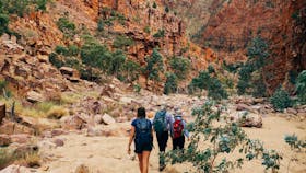 Larapinta Trail