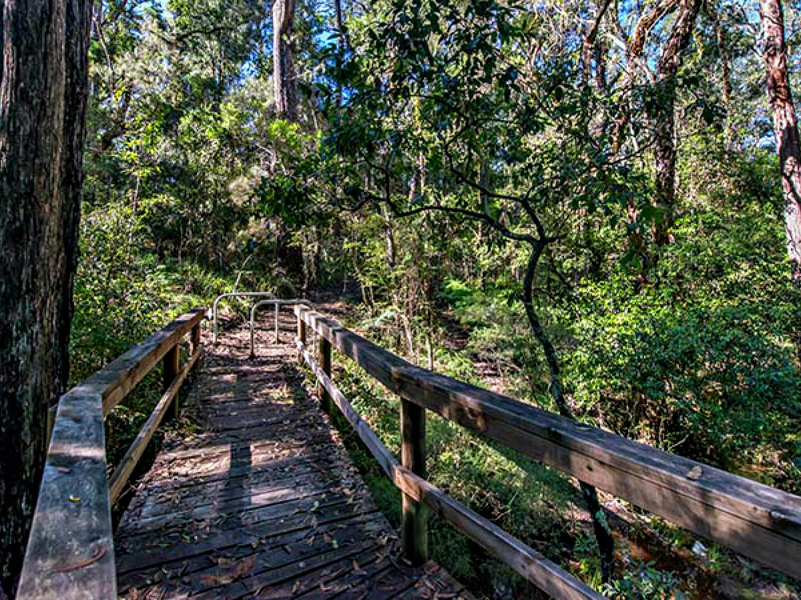 Dawson River Walking Track