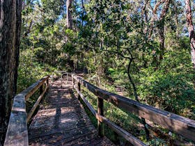 Dawson River Walking Track
