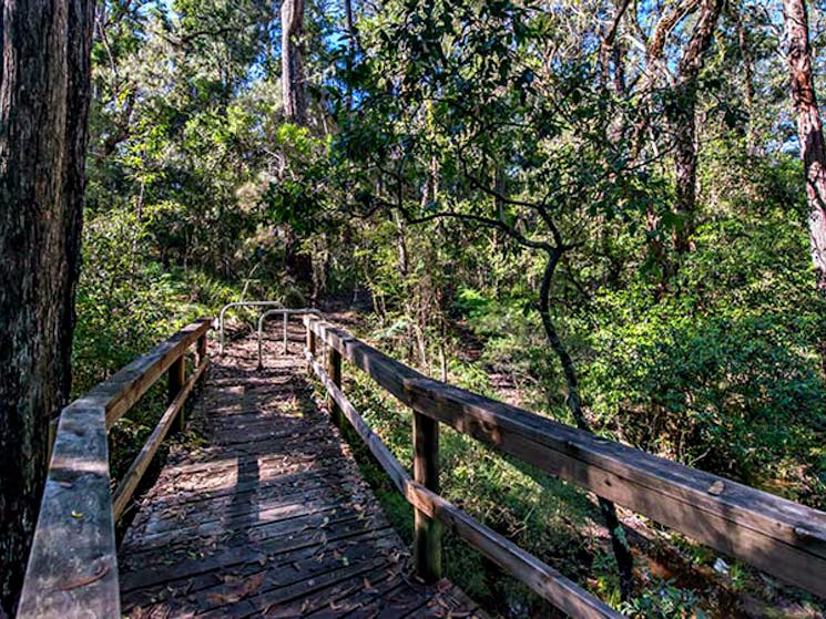 Dawson River walking track, Brimbin Nature Reserve. Photo: John Spencer