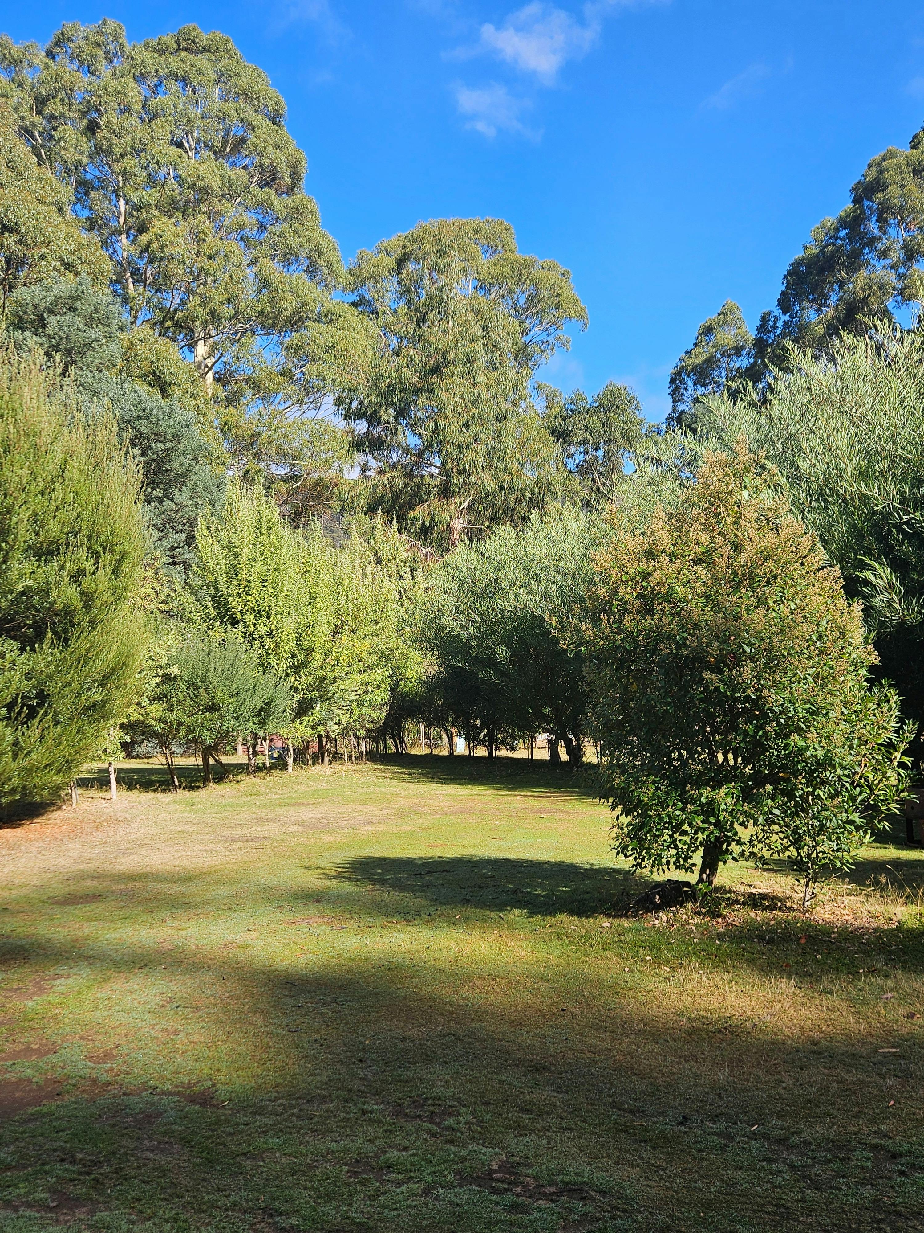 Each site is bordered by native trees