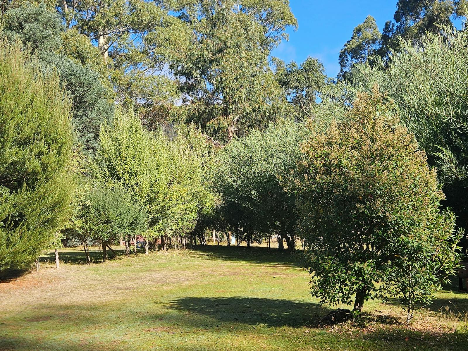 Each site is bordered by native trees