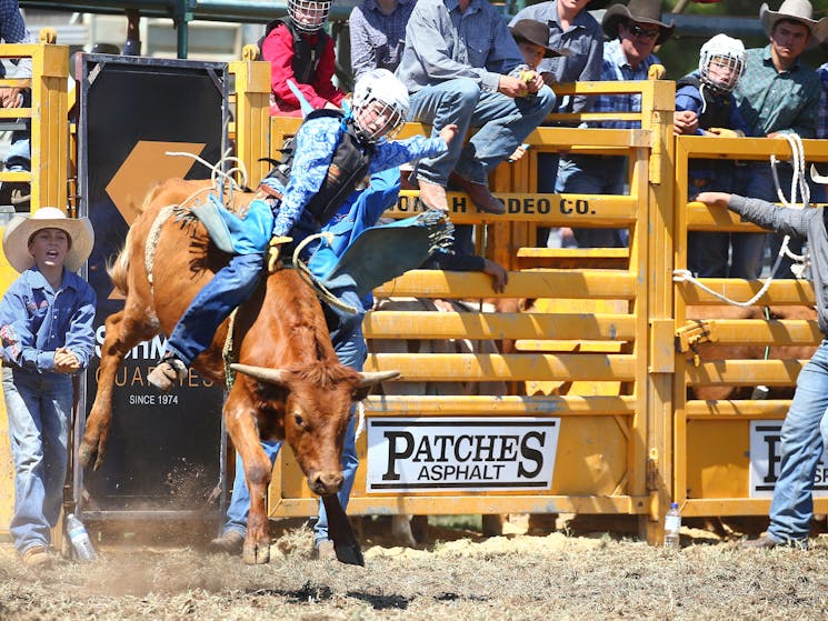 Junior Bull Rider