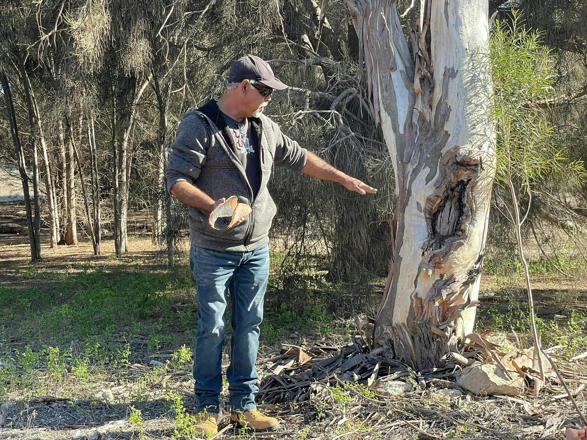 Shane demonstrates the ancient purpose of the scars on old trees