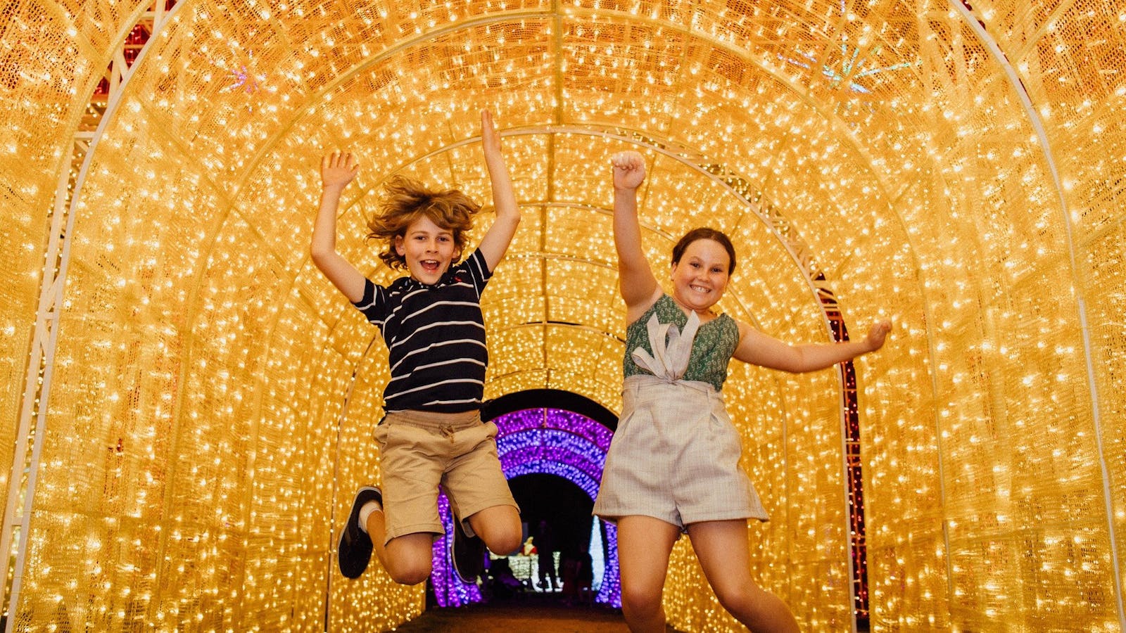Image for Christmas Lights Spectacular New Year's Eve at Hunter Valley Gardens