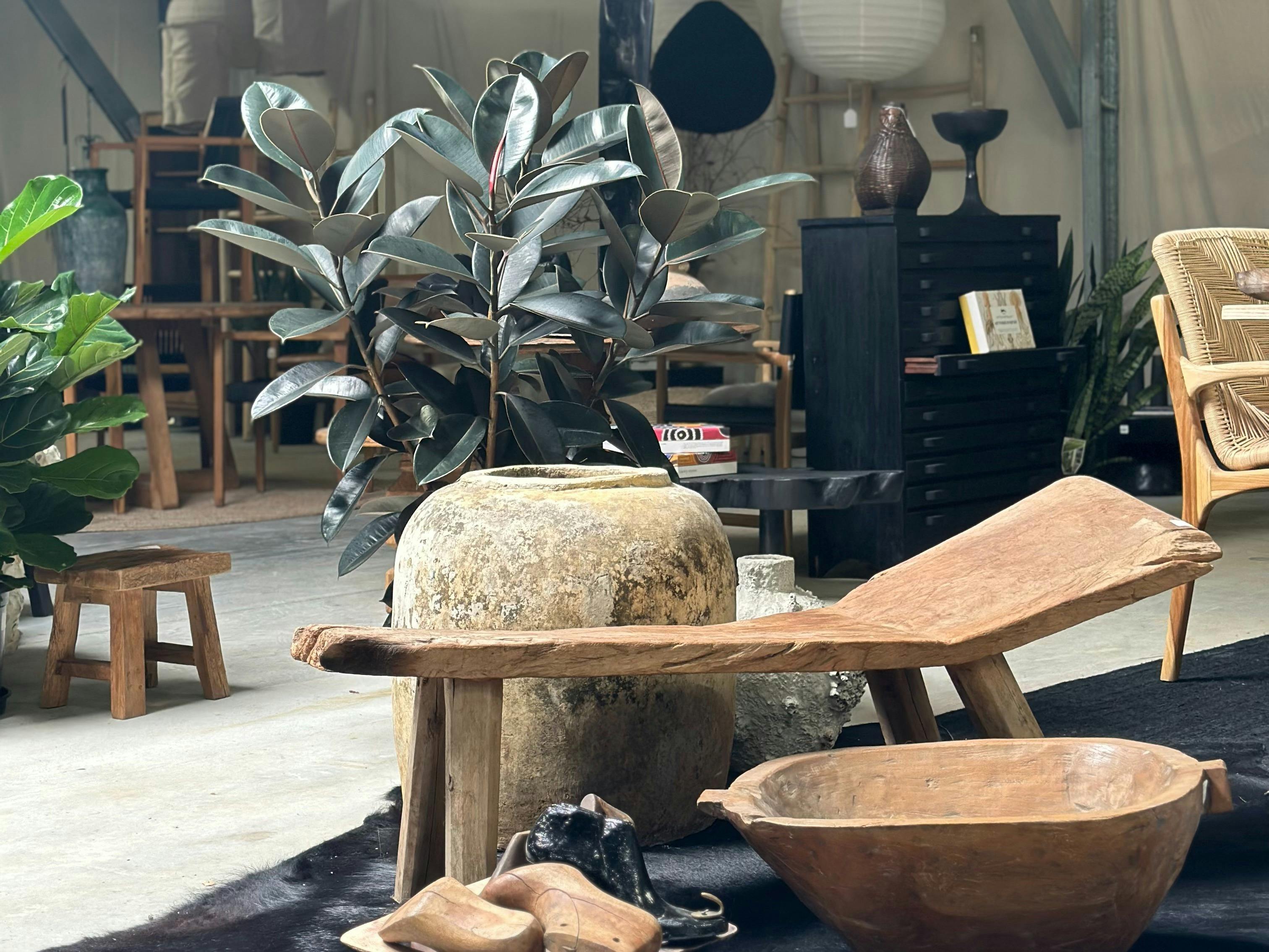 large limestone pot with rubber plant and antique stool