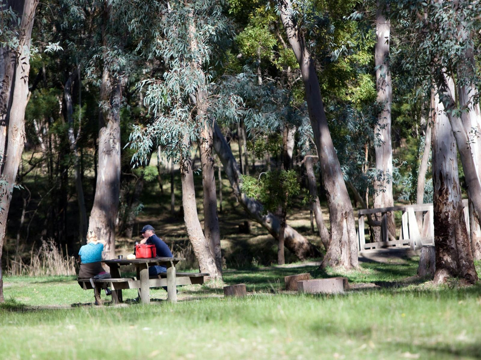 Chookarloo Campground