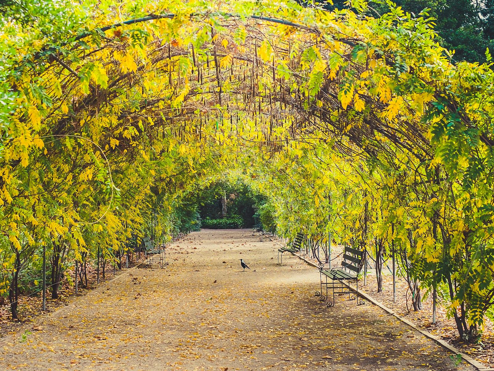 Adelaide Photography Tours