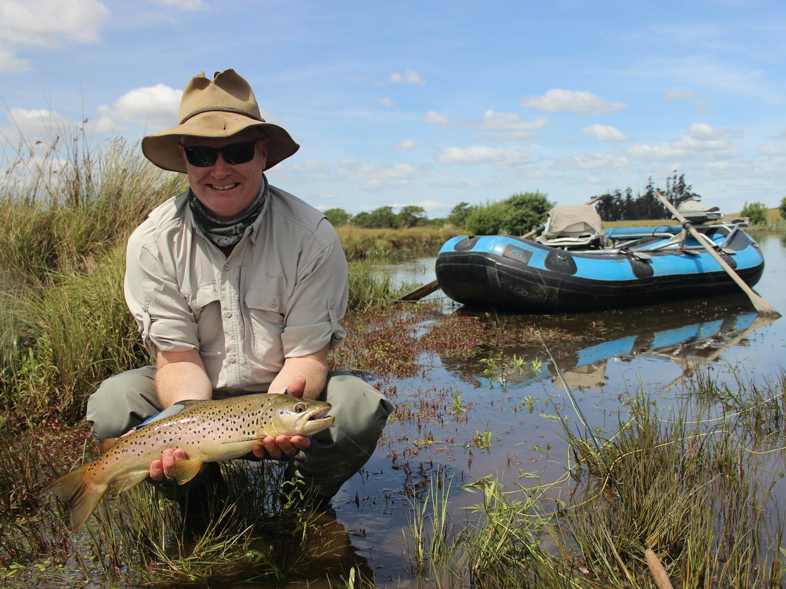 Wild Tasmanian trout from Brumbys Creek