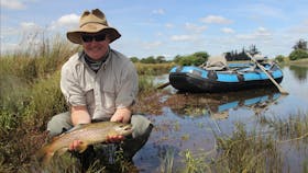 Wild Tasmanian trout from Brumbys Creek