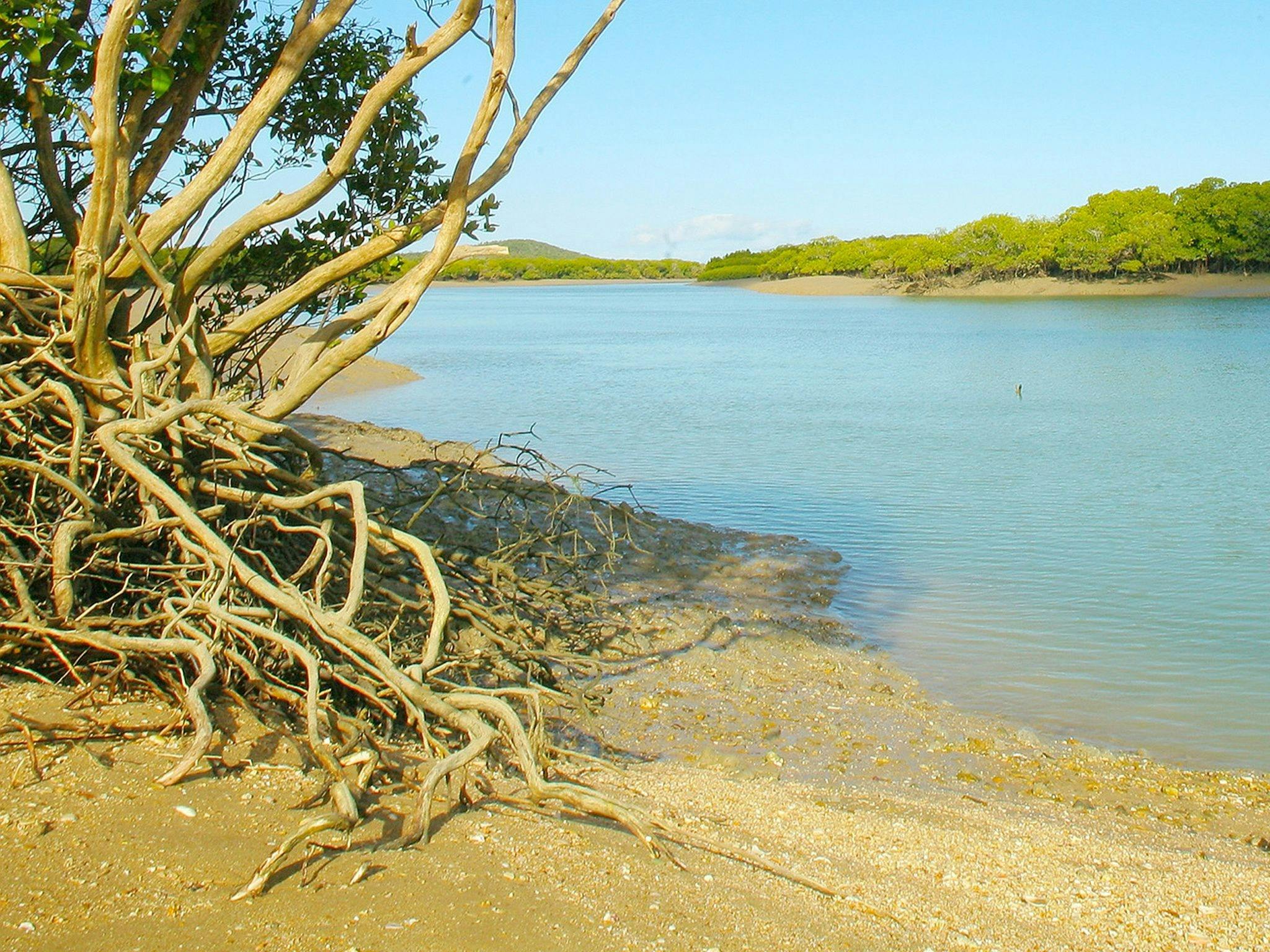 Sitting at the mouth of Cape Creek, Cape Creek camping area is a popular spot to fish and relax.