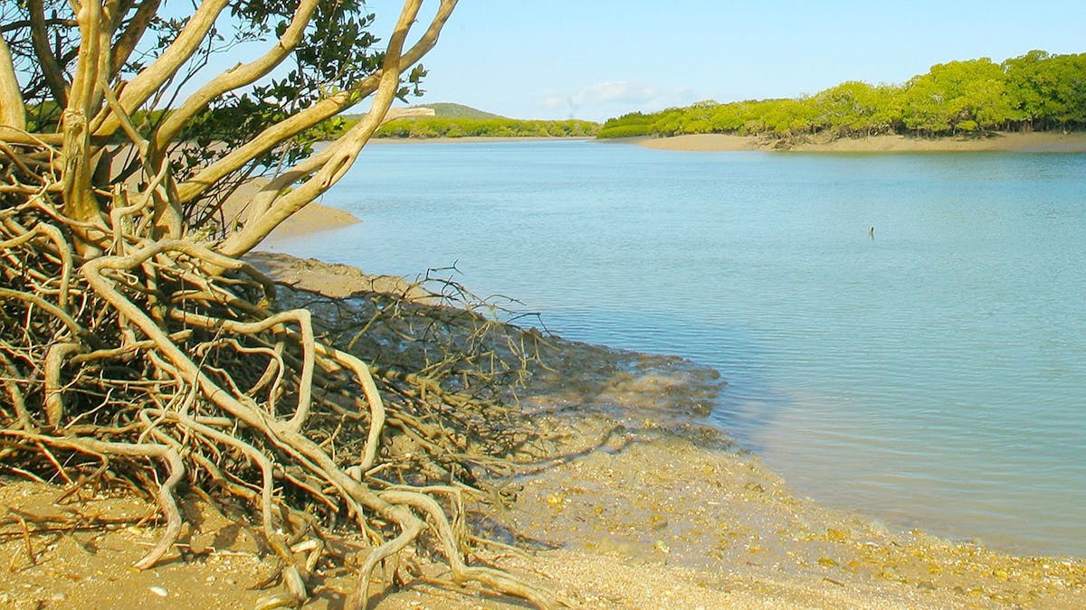 Creek with course sandy bank in foreground and vegetated hills in background.