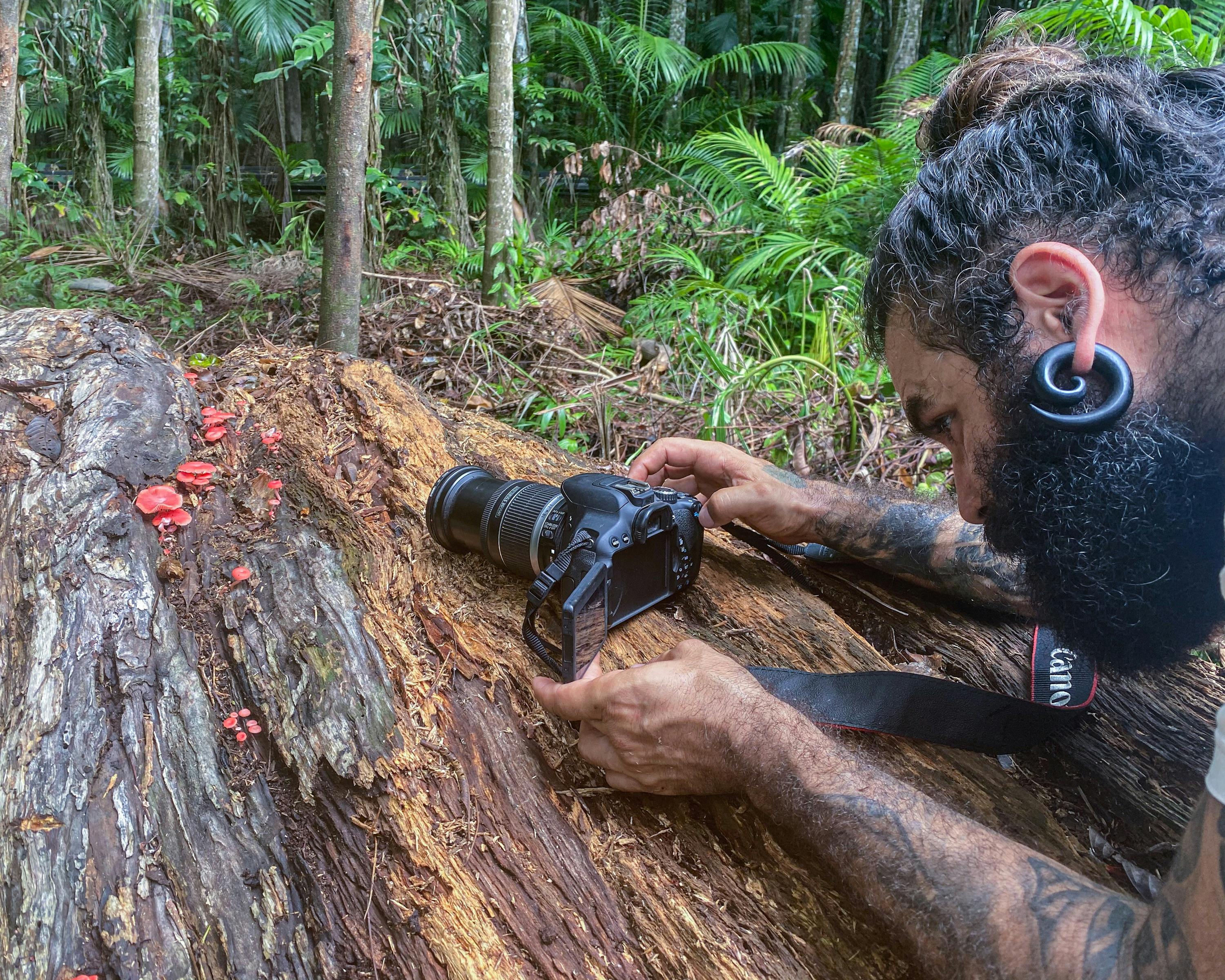 Bright coloured mushrooms are a favorite for photographers