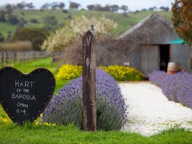 Hart of the Barossa