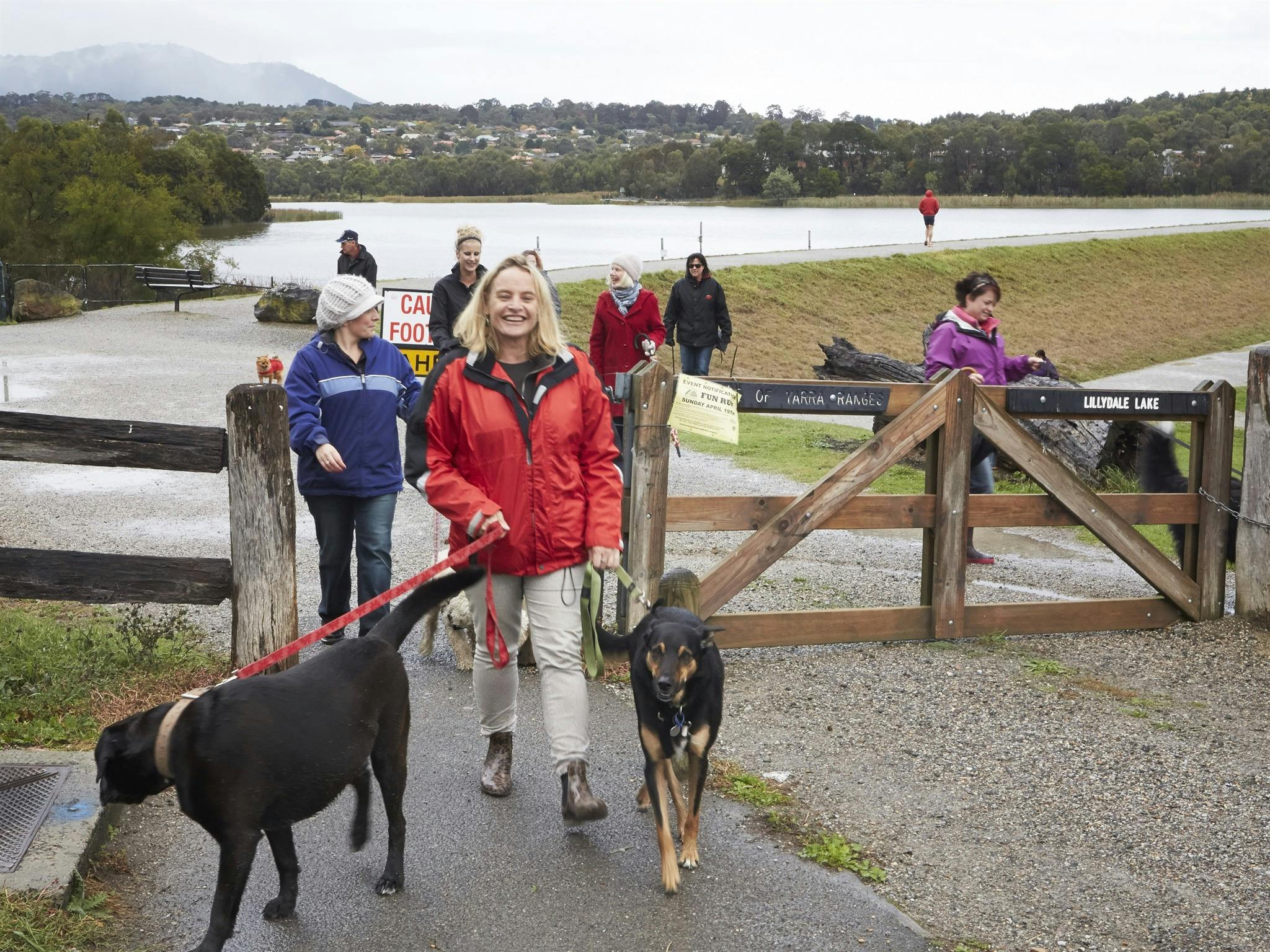 Doggo Gumboots and Gin Tour