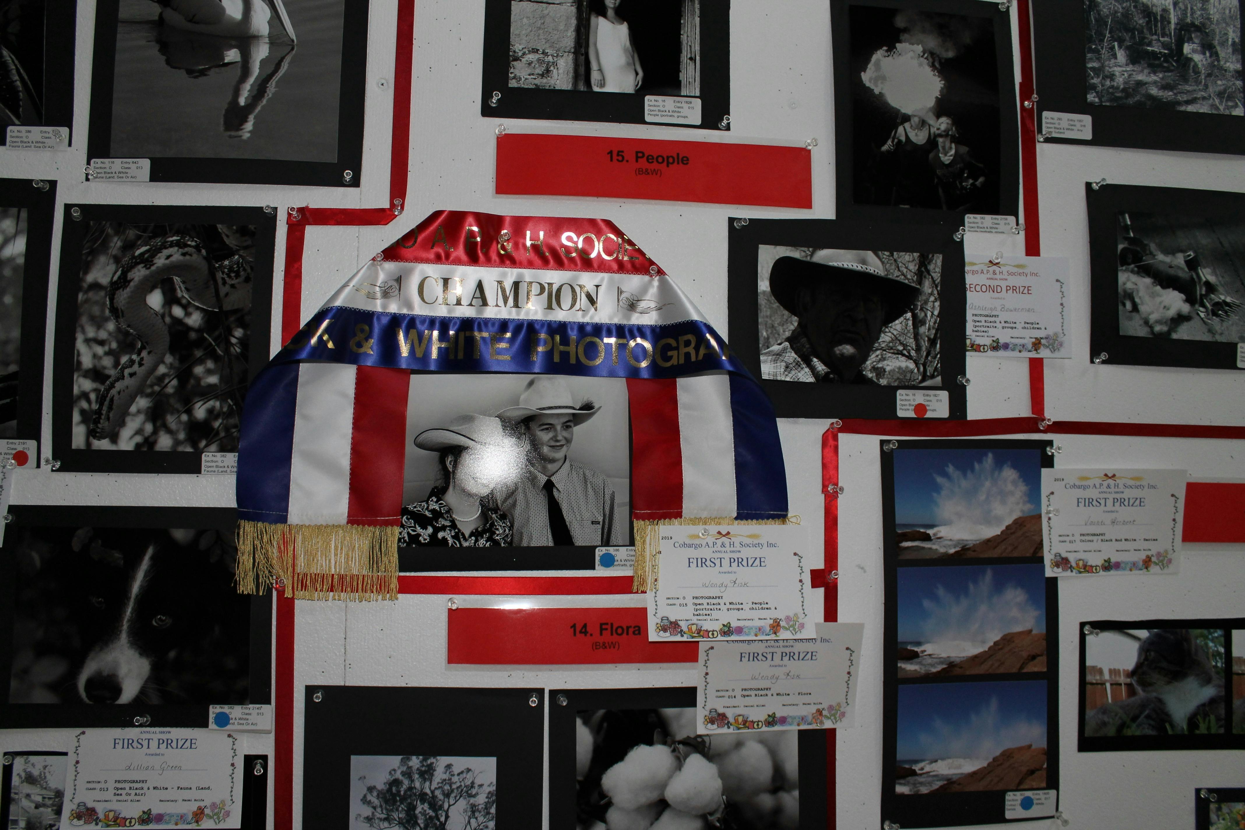 Cobargo AP & H Society Annual Show