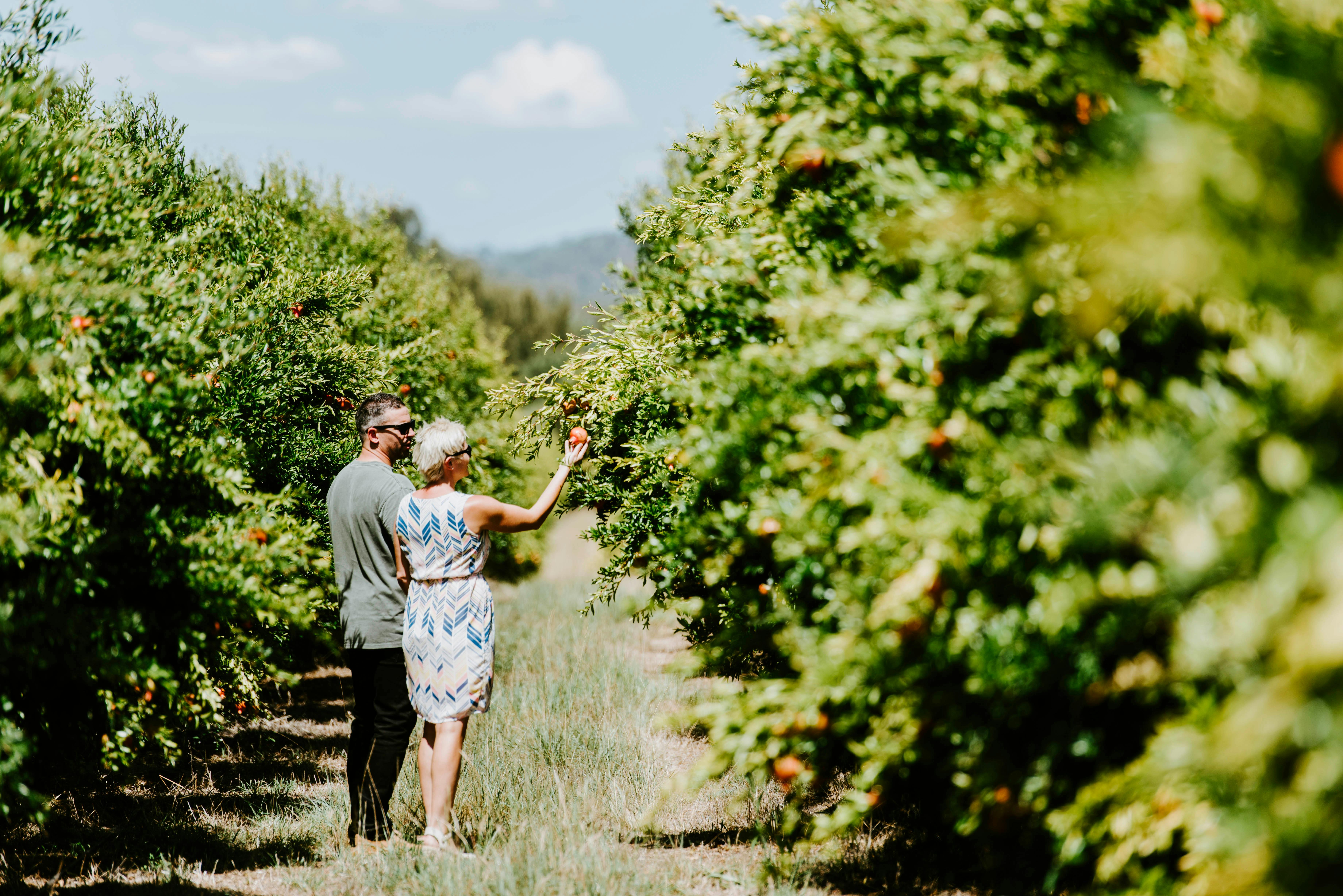 Guided Farm Tours at Aril Estate