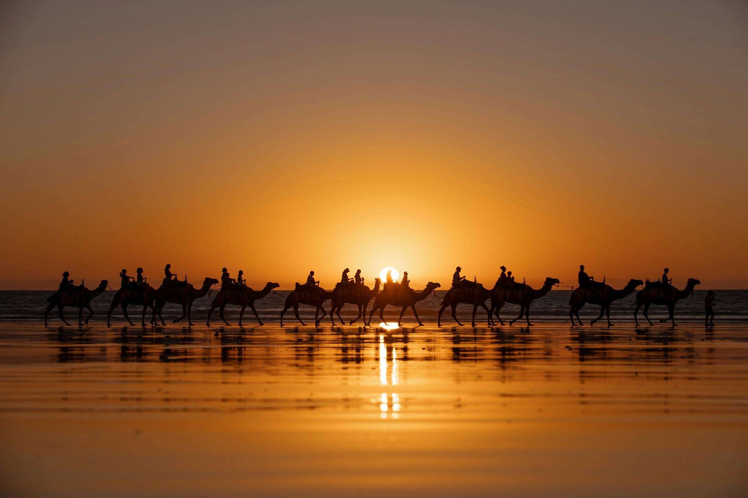 Camels at sunset on Cable Beach, Broome