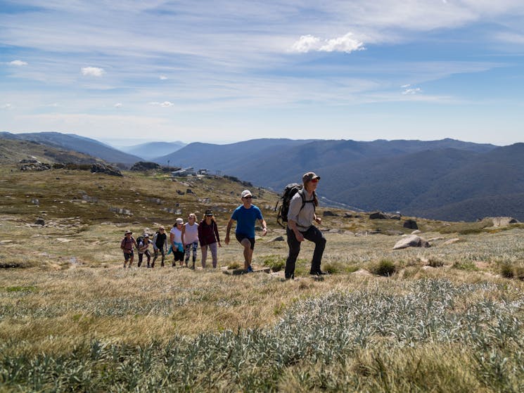 During the retreat guests also go on the Dead Horse Gap and Mt Kosciuszko Summit hikes