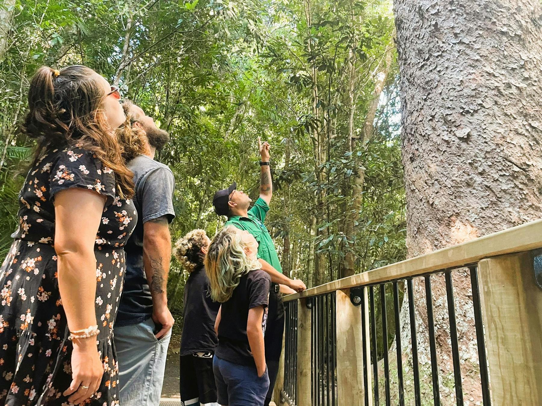 Tour guide stands with tour group at Twin Pines Lake Barrine