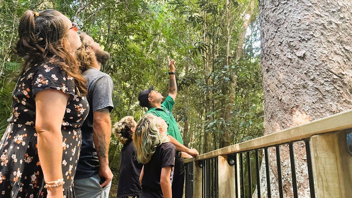 Tour guide stands with tour group at Twin Pines Lake Barrine