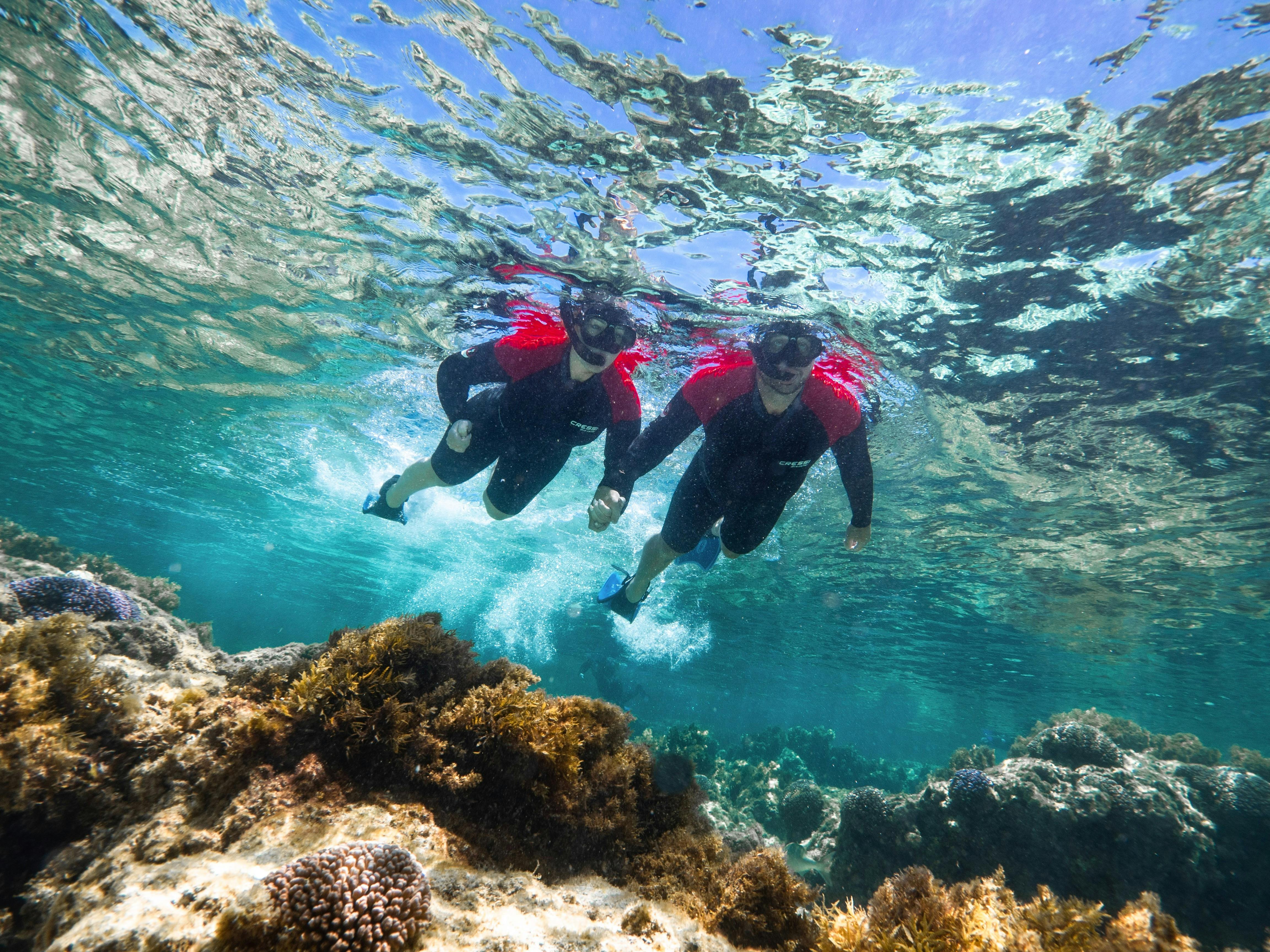Rottnest Snorkel