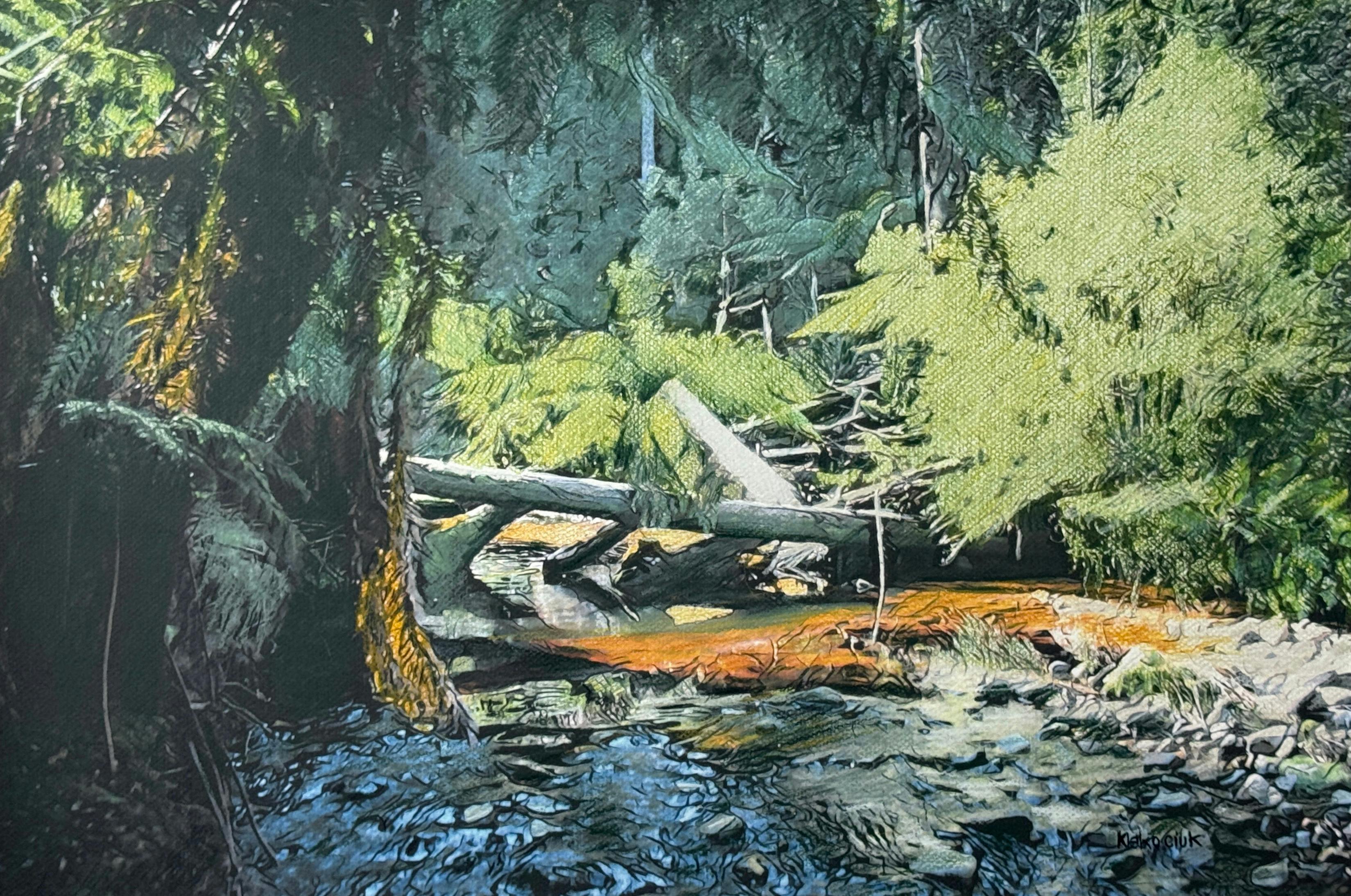 Art, pencil, drawing, exhibition, tasmania