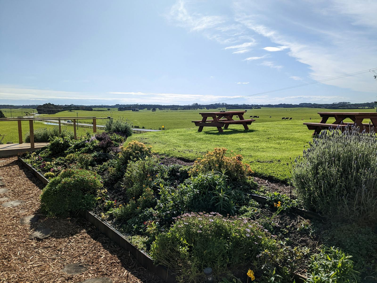 The view from King Island Brewhouse over green lawns and pastures