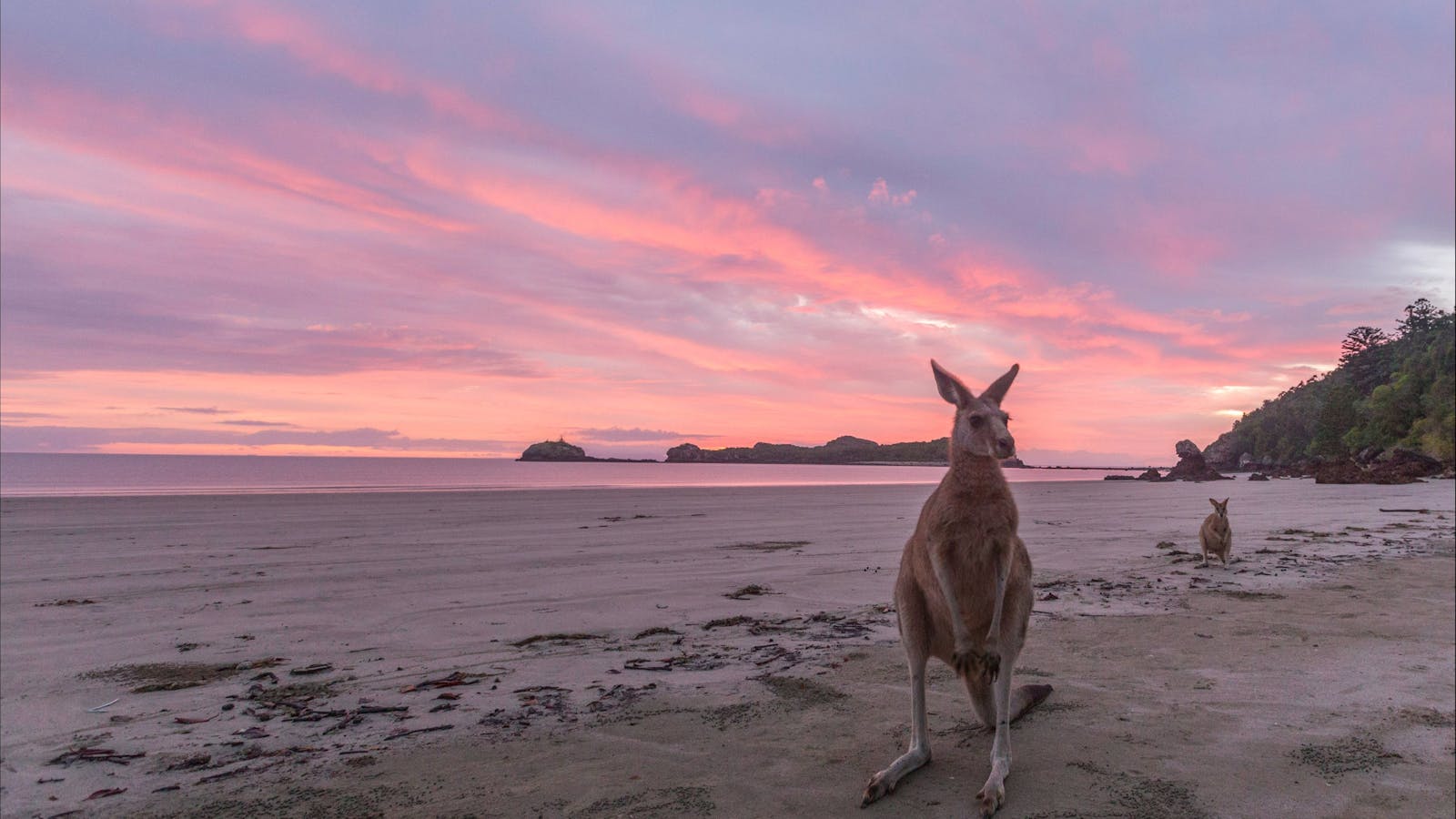 A Natural Adventure through The Mackay Region
