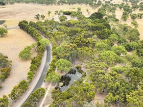 Flying High at Greenrise