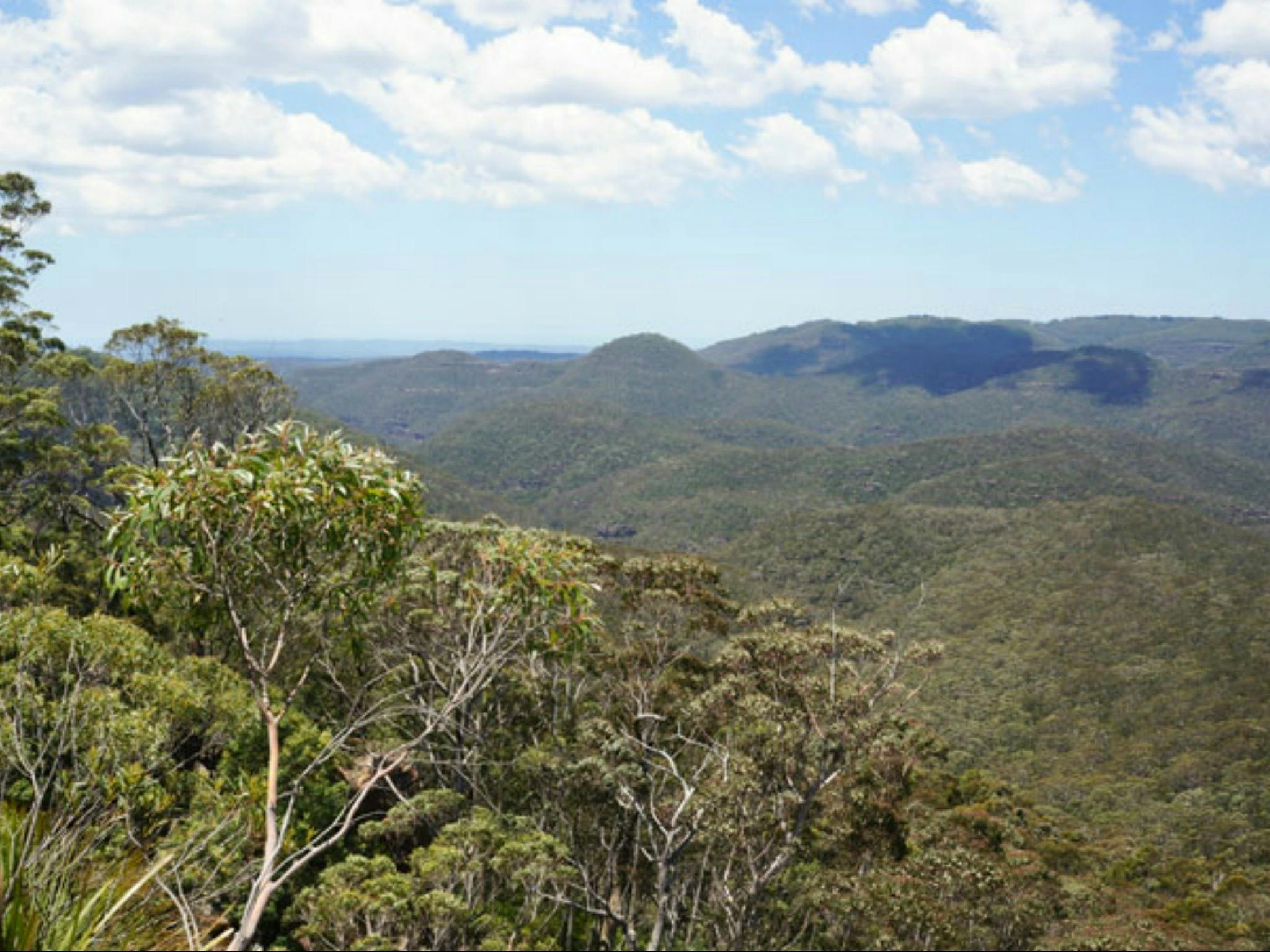 Greater Blue Mountains drive