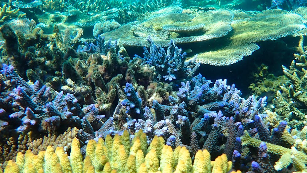 North Queensland Island Charters